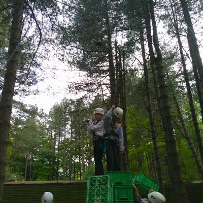 Crate stacking
