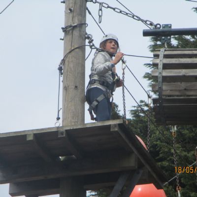 Tree Top Trail